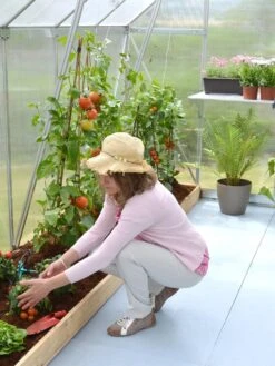 Canopia® By Palram Essence™ Greenhouse, 8' X 12' -Grow Essentials Sales 8591356 04V tif