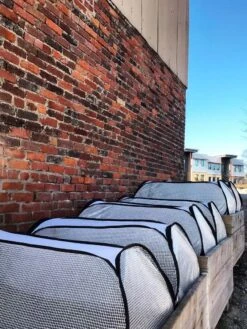 Row Shelter Accelerator -Grow Essentials Sales 8591990 01IN tif