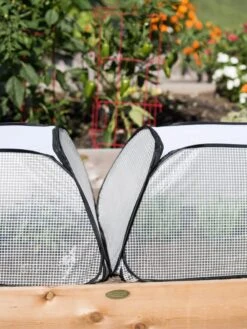 Row Shelter Accelerator -Grow Essentials Sales 8591990 2199 tif