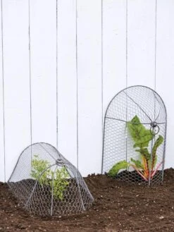 3-in-1 Chicken Wire Cloche -Grow Essentials Sales 8592117 0188 tif