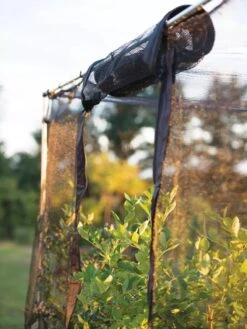 Storm Proof Crop Cage, Large -Grow Essentials Sales 8592463 115 tif