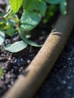 Premium 1/2" Soaker Hose -Grow Essentials Sales 8592730 4933 tif