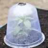 Large Garden Cloches, Set Of 3 -Grow Essentials Sales 8593984 345 tif