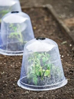 Large Garden Cloches, Set Of 3 7 Large Garden Cloches, Set Of 3 -Grow Essentials Sales 8593984 9432 tif