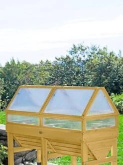 Cold Frame For VegTrug® -Grow Essentials Sales 8594065 101 tif
