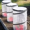 Tomato TLC Kits, Set Of 3 -Grow Essentials Sales 8594214 0183 tif