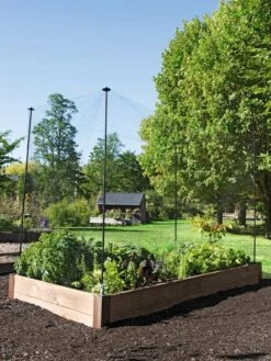 Protection Stakes For Netting, Set Of 4 -Grow Essentials Sales 8594434 0015 tif