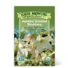 Jasmine-Scented Nicotiana Organic Seeds