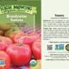 Brandywine Tomato Organic Seeds -Grow Essentials Sales 8596098 001V Brandywine Tomato tif