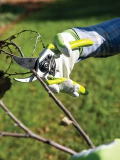 Gardener's Pro Pruner #2 -Grow Essentials Sales 8596605 032 tif