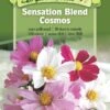 Sensation Blend Cosmos Organic Seeds -Grow Essentials Sales 8598224 01V tif