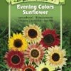 Evening Colors Sunflower Organic Seeds -Grow Essentials Sales 8598225 01V tif