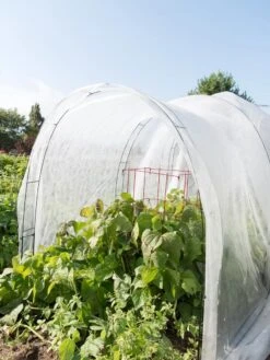 Super Hoop Bases, Set Of 6 -Grow Essentials Sales 8598301 0591 tif