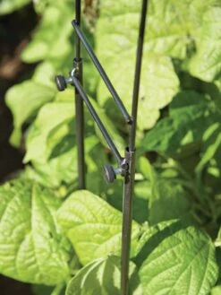 Adjustable Super Hoops, Set Of 3 -Grow Essentials Sales 8598301 0640 tif