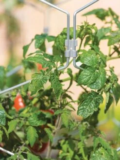 Gardener's Vertex Lifetime Tomato Cage -Grow Essentials Sales 8598426 0011 tif