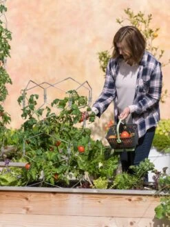 Gardener's Vertex Lifetime Tomato Cage -Grow Essentials Sales 8598426 0026 tif