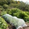 Insect Protection Tunnel -Grow Essentials Sales 8598536 8225 tif