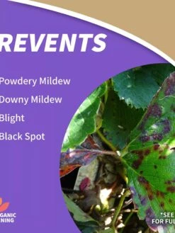 Captain Jack's™ Copper Fungicide Ready To Use, 1 Quart -Grow Essentials Sales 8598746 01V