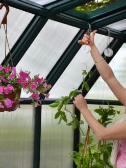 Canopia® By Palram Hobby Gardener Greenhouse, 8' -Grow Essentials Sales 8599331 04V tif