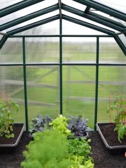 Canopia® By Palram Hobby Gardener Greenhouse, 8' -Grow Essentials Sales 8599331 05V tif