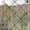 Achla Designs Freestanding Lattice Trellis