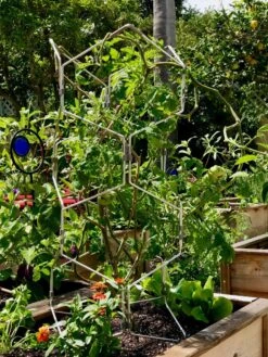 Gardener's Vertex Lifetime Pepper And Eggplant Cage 13 Gardener's Vertex Lifetime Pepper And Eggplant Cage -Grow Essentials Sales 8599554 01CUST tif