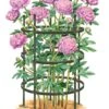 Titan Peony Supports, Large, Set Of 2 -Grow Essentials Sales 8599857 0001 art tif