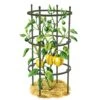 Titan Pepper Eggplant Cages, Set Of 3 -Grow Essentials Sales 8599859 0001 art tif