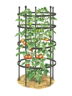 Titan Tomato Cages, Set Of 3 -Grow Essentials Sales 8599861 0001 art tif