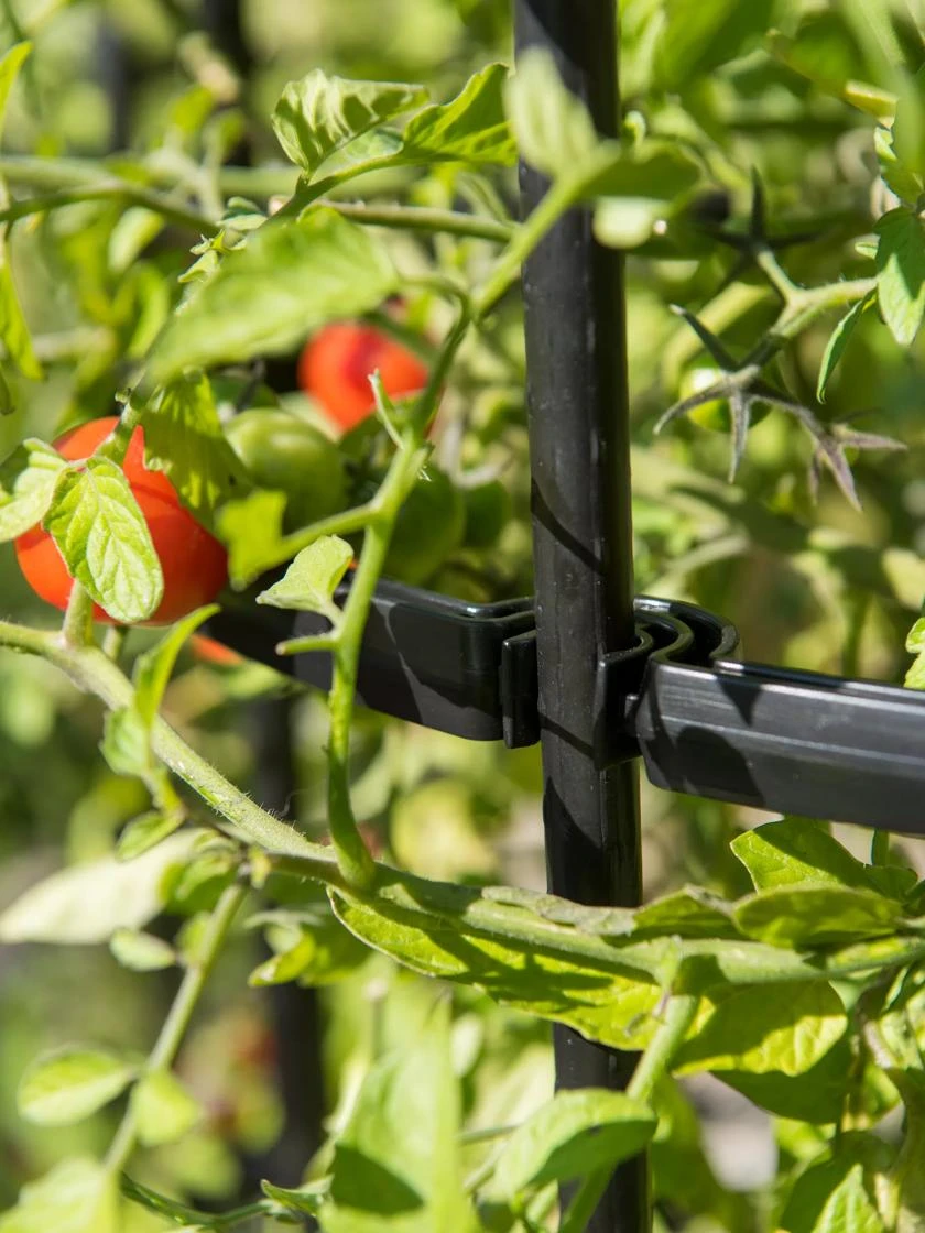 Titan Tall Tomato Cages, Set Of 3 4 Titan Tall Tomato Cages, Set Of 3 - Image 2