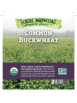 Common Buckwheat Organic Seeds -Grow Essentials Sales 8599871 04v
