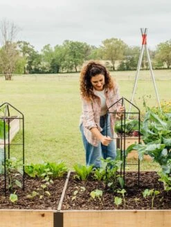 Zenith Folding Garden Supports, Set Of 2 -Grow Essentials Sales 8600073 324 tif