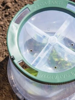 Sunny Forcing Cloches, Set Of 3 -Grow Essentials Sales 8600075 0742 tif