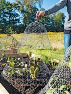 Chicken Wire Cloche With Extension 19 Chicken Wire Cloche With Extension -Grow Essentials Sales 8600116 0604 3 4