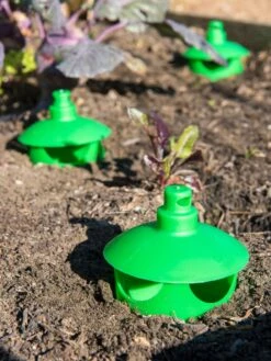 Slug And Snail Traps, Set Of 3 13 Slug And Snail Traps, Set Of 3 -Grow Essentials Sales 8600120 1788