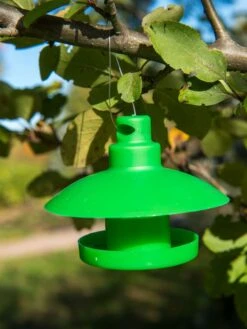 Slug And Snail Traps, Set Of 3 17 Slug And Snail Traps, Set Of 3 -Grow Essentials Sales 8600120 1792