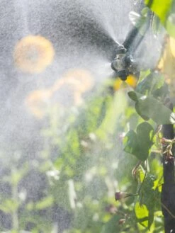 Landscape 4-Way Cooling Mist Kit, 50' 12 Landscape 4-Way Cooling Mist Kit, 50' -Grow Essentials Sales 8600154 0695 tif