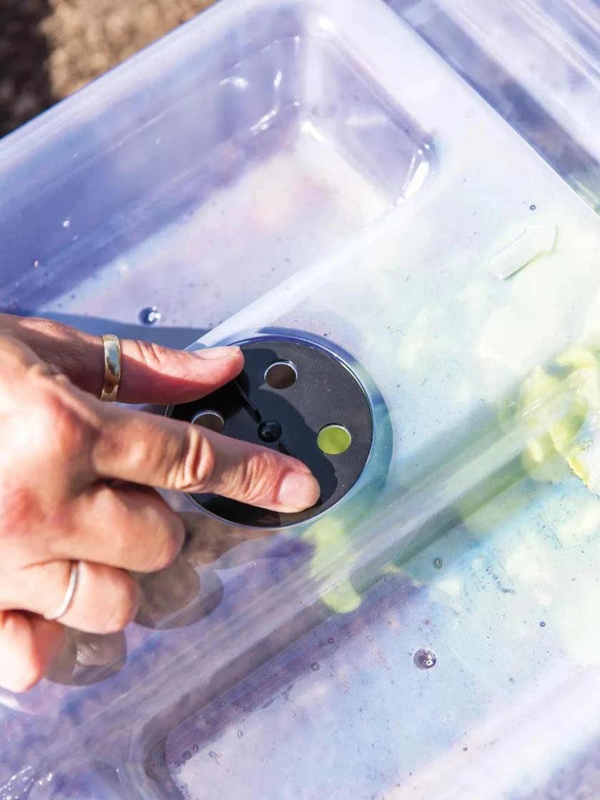 Cool Weather Row Cloches Set 5 Cool Weather Row Cloches Set - Image 3