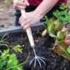 Gardener’s Lifetime 5-Tine T-Grip Raised Bed Cultivator -Grow Essentials Sales 8600306 3073 tif