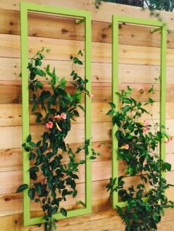 Ina Modern Wall Trellis Sr. -Grow Essentials Sales 8600510 01V tif
