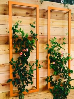 Ina Modern Wall Trellis Sr. -Grow Essentials Sales 8600510 04V tif