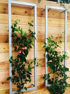 Ina Modern Wall Trellis Sr. -Grow Essentials Sales 8600510 06V tif