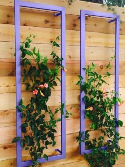 Ina Modern Wall Trellis Sr. -Grow Essentials Sales 8600510 07V tif