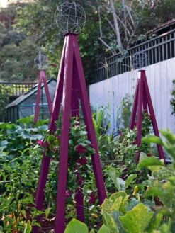 Akoris Garden Tuteur Jr. -Grow Essentials Sales 8600517 01V akoris garden tuteur tif 1