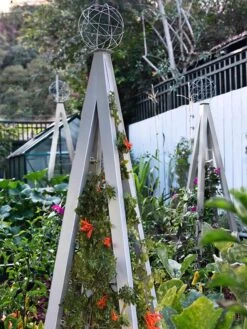 Akoris Garden Tuteur Jr. -Grow Essentials Sales 8600517 07V tif