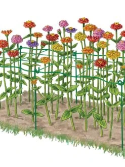 Cut Flower Grid Support, Set Of 2 -Grow Essentials Sales 8600620 0002 art tif