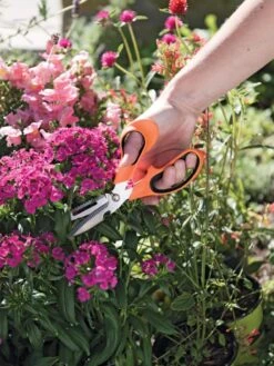 Gardener's Multi Purpose Scissors -Grow Essentials Sales 8608655 19551 tif