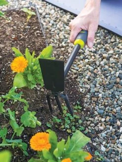 Gardener's 2-in-1 Short Handle Hoe And Cultivator -Grow Essentials Sales 8608657 19474 tif