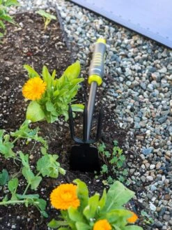 Gardener's 2-in-1 Short Handle Hoe And Cultivator -Grow Essentials Sales 8608657 19479 tif