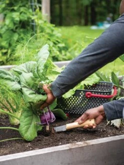 Gardener's Lifetime Hori Hori Knife -Grow Essentials Sales 8608888 0422 tif